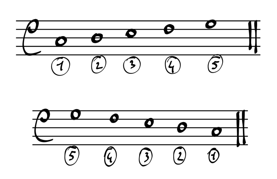 Ascending and Descending Pentachord