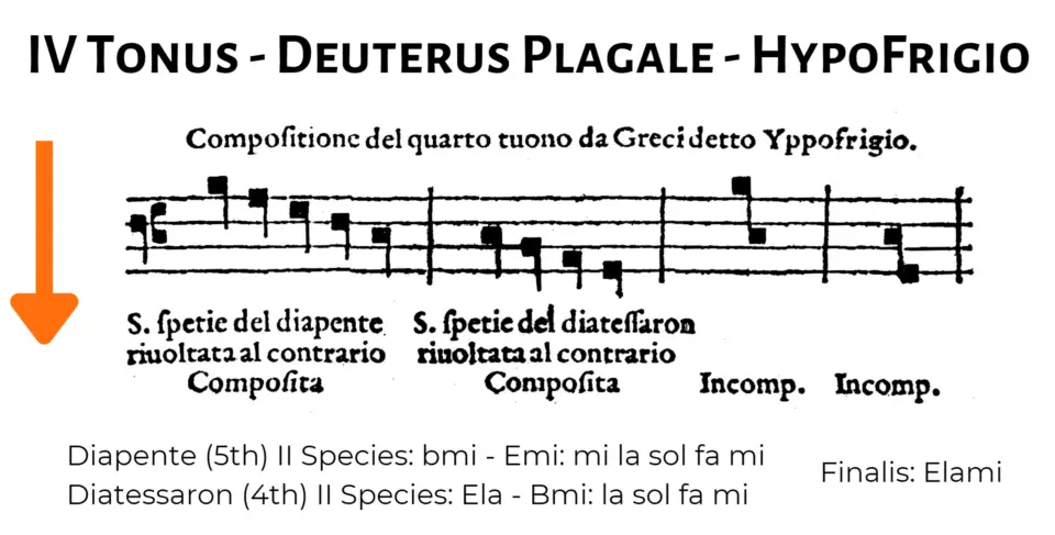 Structure of the IV Tonus - Cantus Firmus Course - A. Illuminato 1533
